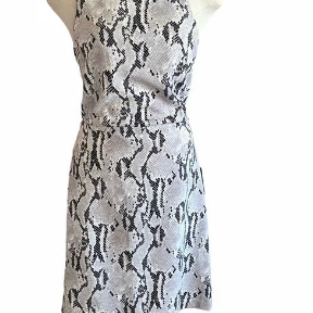 Express Snake Print Dress
